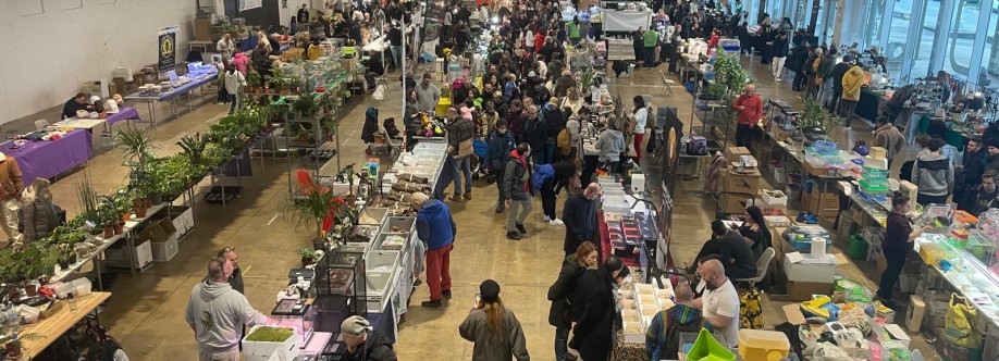 ESPOSITORI FIERA MORCIANO Cover Image