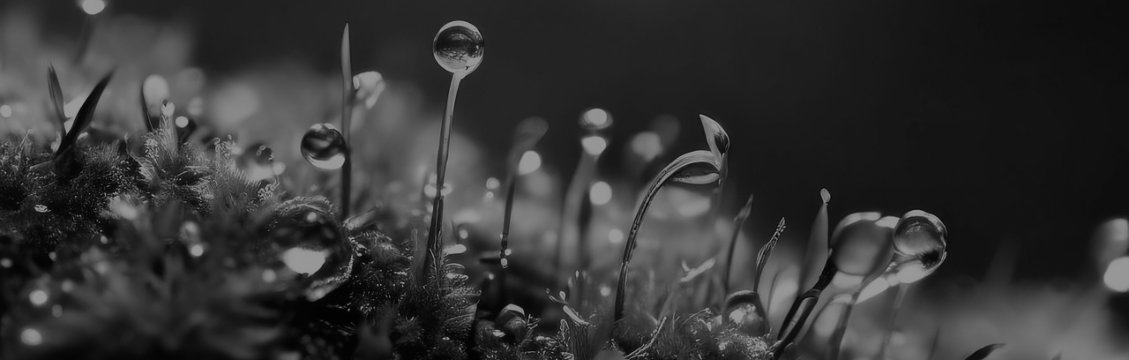 Matteo Meneghetti Cover Image